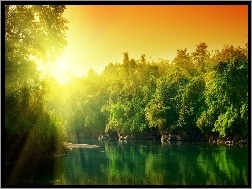 Drzewa, Jezioro, Słońce